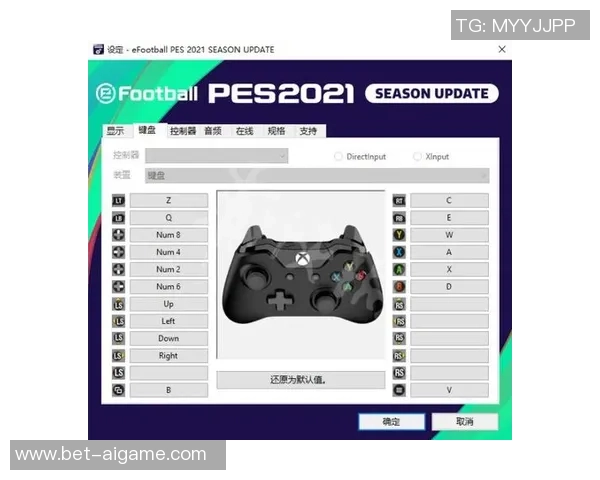 实况足球2008键盘操作技巧与设置指南助你轻松掌控比赛胜利